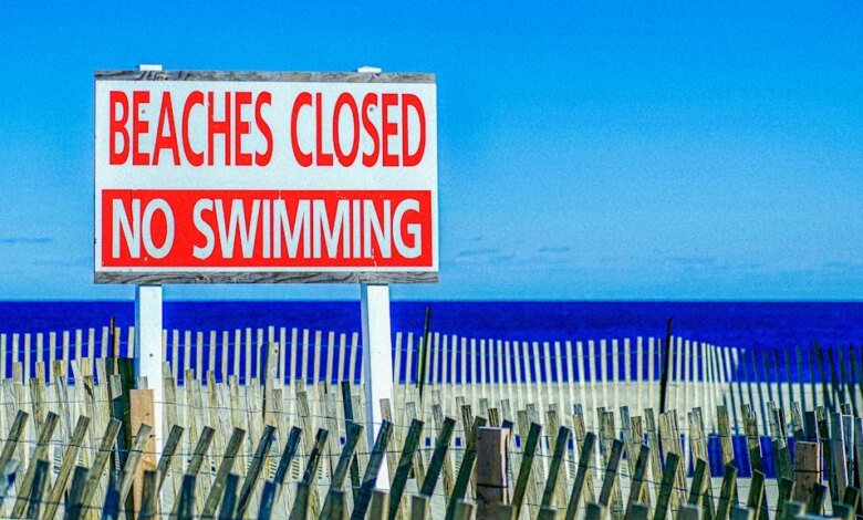 ¿Por qué cientos de playas le dijeron al nadador que saliera del agua?