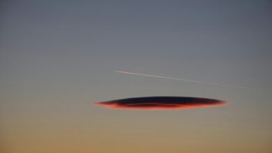 ¿Cómo prevalecieron las teorías de la conspiración climática?