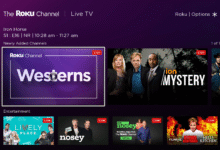 Los usuarios de Roku deberían prepararse para muchos más anuncios generados por IA, según su COO, y me refiero mucho a