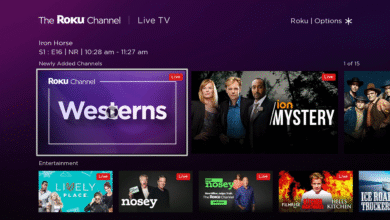 Los usuarios de Roku deberían prepararse para muchos más anuncios generados por IA, según su COO, y me refiero mucho a