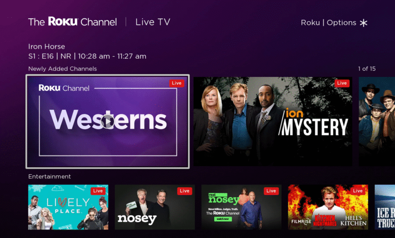 Los usuarios de Roku deberían prepararse para muchos más anuncios generados por IA, según su COO, y me refiero mucho a Los usuarios de Roku deberían prepararse para muchos más anuncios generados por IA, según su COO, y me refiero mucho a