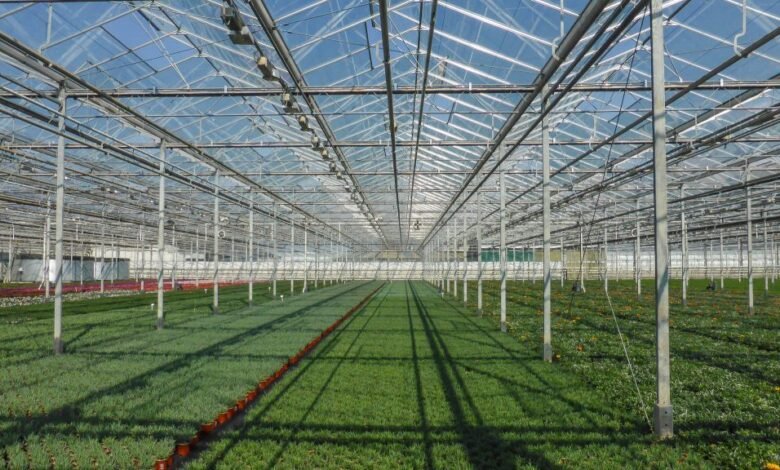 La perforación geotérmica para la agricultura de invernadero comienza en Eskisehir, Türkiye