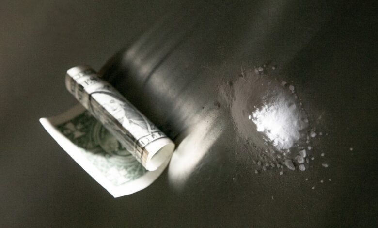 El sorprendente efecto climático de la legitimidad a la cocaína