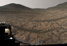 Los nuevos hallazgos de la NASA Mars Rover proporcionan fuertes pistas de posibles signos de vida antigua