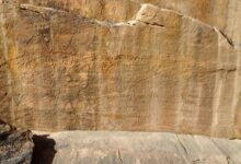 Los científicos encuentran antiguas tallas de rocas de animales de tamaño natural en el desierto de Arabia Saudita