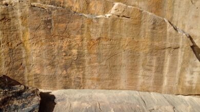 Los científicos encuentran antiguas tallas de rocas de animales de tamaño natural en el desierto de Arabia Saudita