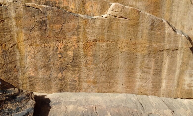 Los científicos encuentran antiguas tallas de rocas de animales de tamaño natural en el desierto de Arabia Saudita