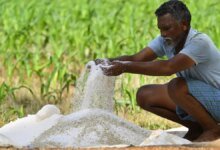 Duplicar los ingresos de los agricultores: oportunidad de impulso y exportación de políticas