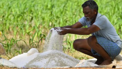 Duplicar los ingresos de los agricultores: oportunidad de impulso y exportación de políticas
