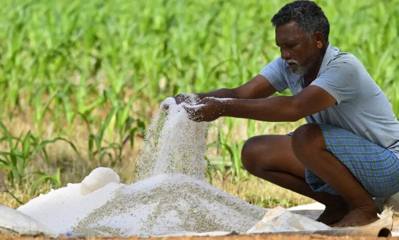 Duplicar los ingresos de los agricultores: oportunidad de impulso y exportación de políticas
