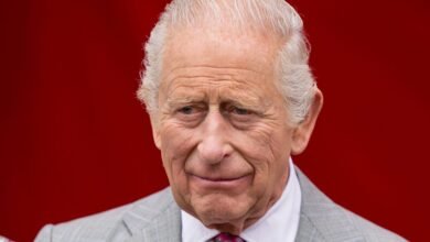 Ganador del BAFTA con vínculos reales narrará el documental Prime Video del rey Carlos Ganador del BAFTA con vínculos reales narrará el documental Prime Video del rey Carlos