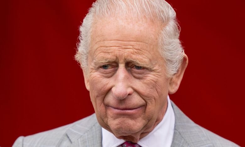 Ganador del BAFTA con vínculos reales narrará el documental Prime Video del rey Carlos Ganador del BAFTA con vínculos reales narrará el documental Prime Video del rey Carlos