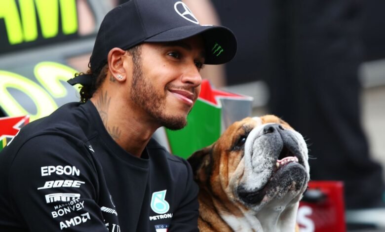 El amor de Hamilton por Roscoe hace que los superhéroes de F1 puedan creer, la gente