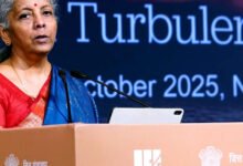 Fortaleza de consumo fuerte y choques externos: FM Sitharaman