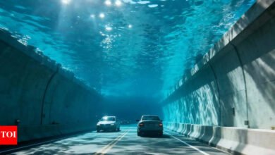 Estrategias: Túnel bajo el agua antes de estar bajo el Brahmaputra en Assam, se ha asintido pronto. Hechos populares.
