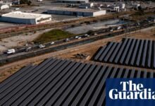 Los funcionarios de Trump redujeron casi $ 8 mil millones en proyectos de energía limpia en estados democráticos | Administración de Trump