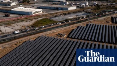 Los funcionarios de Trump redujeron casi $ 8 mil millones en proyectos de energía limpia en estados democráticos | Administración de Trump