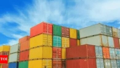 Los servicios de la India, potencial de exportación de fabricación sin explotar; IED una preocupación: economista jefe del Banco Mundial del Sur de Asia