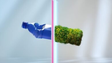 No todo lo etiquetado como “reciclable” en realidad lo es: lo que debe saber