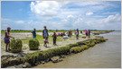 GiveDirectly planea poner a prueba un programa utilizando Flood Hub basado en inteligencia artificial de Google, que proporciona advertencias de pronóstico, para enviar ayuda temprana a familias en riesgo en Bangladesh (resto del mundo)