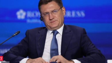 Rusia confía en continuar el comercio energético con India: DPM Novak