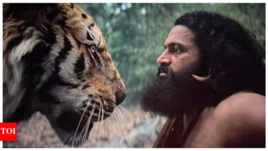 Kantara Capítulo 1 Taquilla Día 14: Rishabh Shetty Film Stable, poco más cerca de Rs 500 Crore |