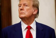 Los aranceles de Trump: la inteligente estrategia de la India puede estar funcionando