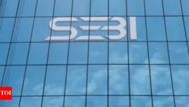 Impulso al mercado de materias primas: Sebi planea impulsar la participación institucional; derivados y bonos en foco
