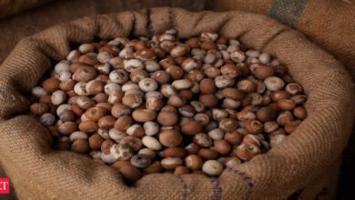 Se restringen las importaciones de nueces de areca tostadas por debajo de 351 INR/kg