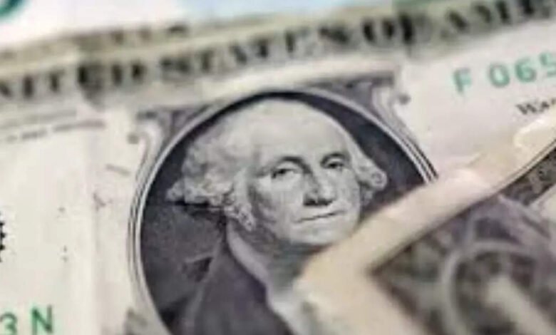 Las reservas de divisas de la India cayeron 6.920 millones de dólares a 695.360 millones de dólares en la semana que finalizó el 24 de octubre. Las reservas de divisas de la India cayeron 6.920 millones de dólares a 695.360 millones de dólares en la semana que finalizó el 24 de octubre.