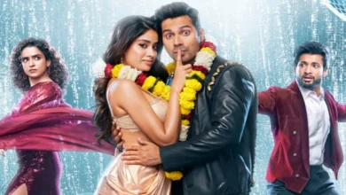 Sunny Reformi Ki Tulsi Kumari Taquilla: Varun Dhawan y Janahvi Kapoor Star lucharon el sábado