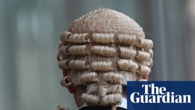 Se descubre que Barrister utilizó inteligencia artificial para prepararse para la audiencia después de citar casos “ficticios” | Inteligencia artificial (IA)