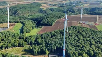 RWE pone en marcha un parque eólico en Renania-Palatinado