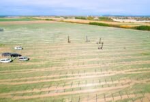 R.Power inicia la construcción de un parque solar de 55 MWp en Rumanía