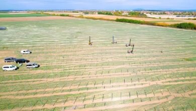 R.Power inicia la construcción de un parque solar de 55 MWp en Rumanía R.Power inicia la construcción de un parque solar de 55 MWp en Rumanía