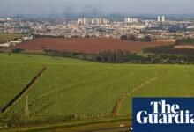 Brasil pide a los países en la Cop30 que aumenten drásticamente el uso de biocombustibles, sugieren filtraciones | Biocombustibles