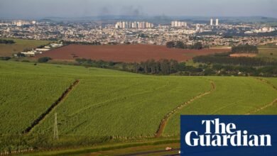 Brasil pide a los países en la Cop30 que aumenten drásticamente el uso de biocombustibles, sugieren filtraciones | Biocombustibles