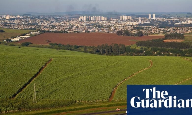 Brasil pide a los países en la Cop30 que aumenten drásticamente el uso de biocombustibles, sugieren filtraciones | Biocombustibles Brasil pide a los países en la Cop30 que aumenten drásticamente el uso de biocombustibles, sugieren filtraciones | Biocombustibles