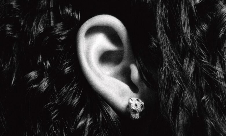 A otro le gusta: pendientes de animales. A otro le gusta: pendientes de animales.