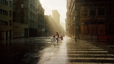 Stark, retrato sentimental de Nueva York de Daniel Arnold Stark, retrato sentimental de Nueva York de Daniel Arnold