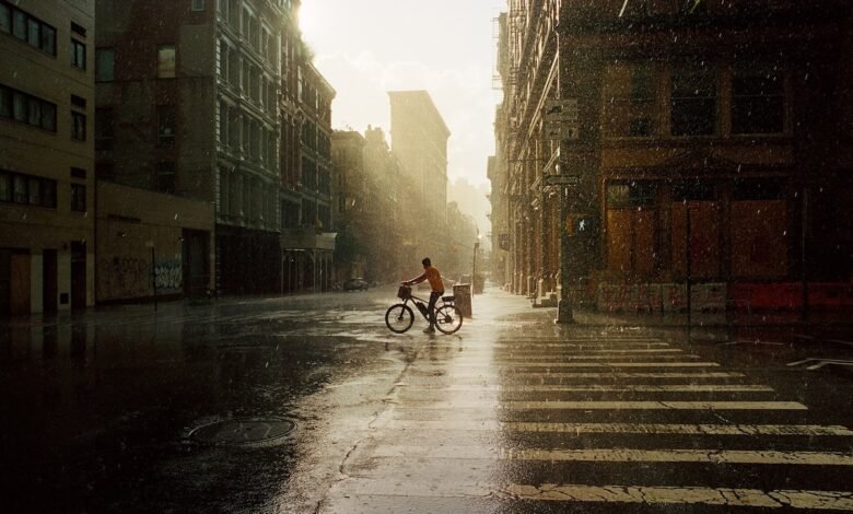 Stark, retrato sentimental de Nueva York de Daniel Arnold Stark, retrato sentimental de Nueva York de Daniel Arnold