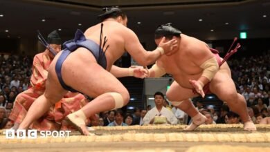 Sumo: ¿qué es, cuánto cuesta y por qué está en Londres?