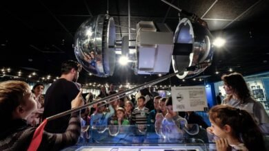 Cuando un ‘compañero viajero’ fue al espacio