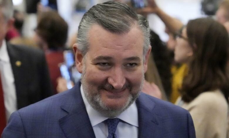 Cruz posts video of Democrats wearing sombreros, cartoon mustaches