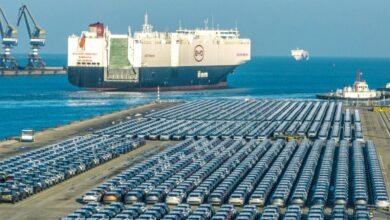 ¿Busca China protección contra las subidas del precio del petróleo o algo más?
