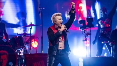 Los tableros Framentol son el muelle característico ‘Billy Idol debería morir’