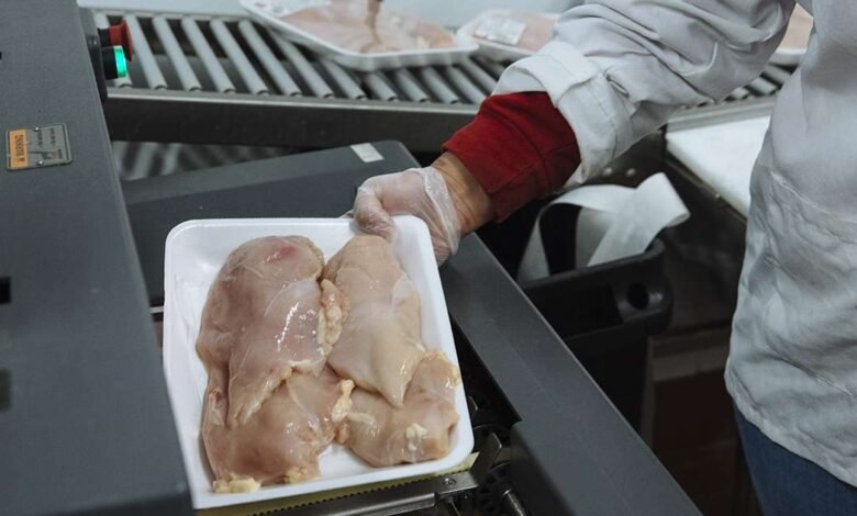 Los precios de los pollos estadounidenses caen 18% desde el pico de verano