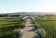 Un nuevo orden natural en Opus One – SUPERFICIE