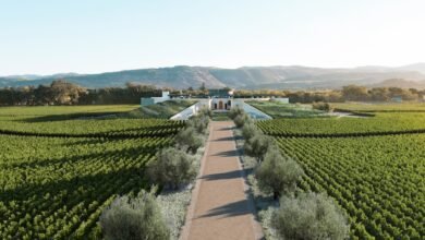 Un nuevo orden natural en Opus One – SUPERFICIE