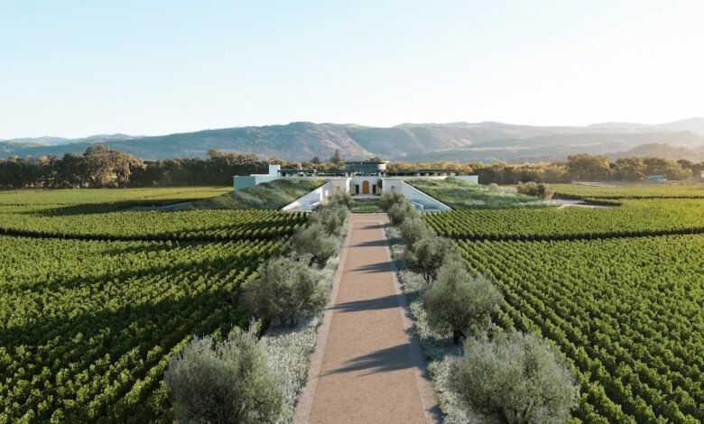 Un nuevo orden natural en Opus One – SUPERFICIE Un nuevo orden natural en Opus One – SUPERFICIE